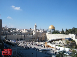 המוסלמים מהווים 18.1% מכלל תושבי ישראל