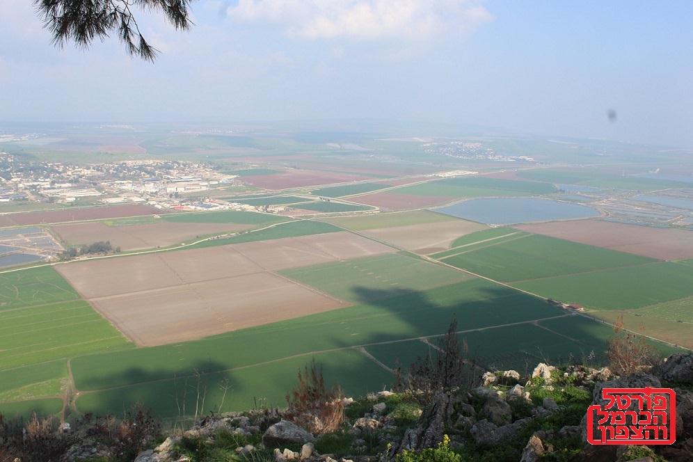 שדה התעופה ברמת דוד והמאבק על אדמות העמק