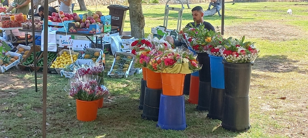 שערים יציגים למטבעות חוץ מיום 30/08/2024