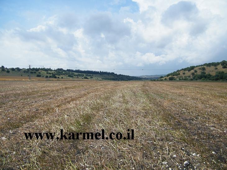 שערים יציגים למטבעות חוץ מיום 13/09/2024