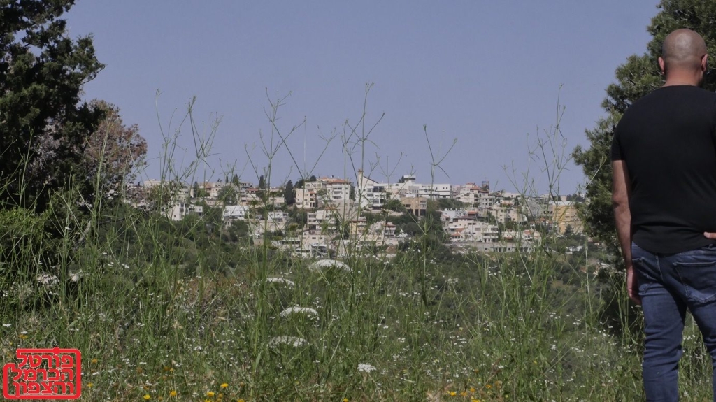 עוספיה האחרת ללא ילודה זרים וחולשה כלכלית