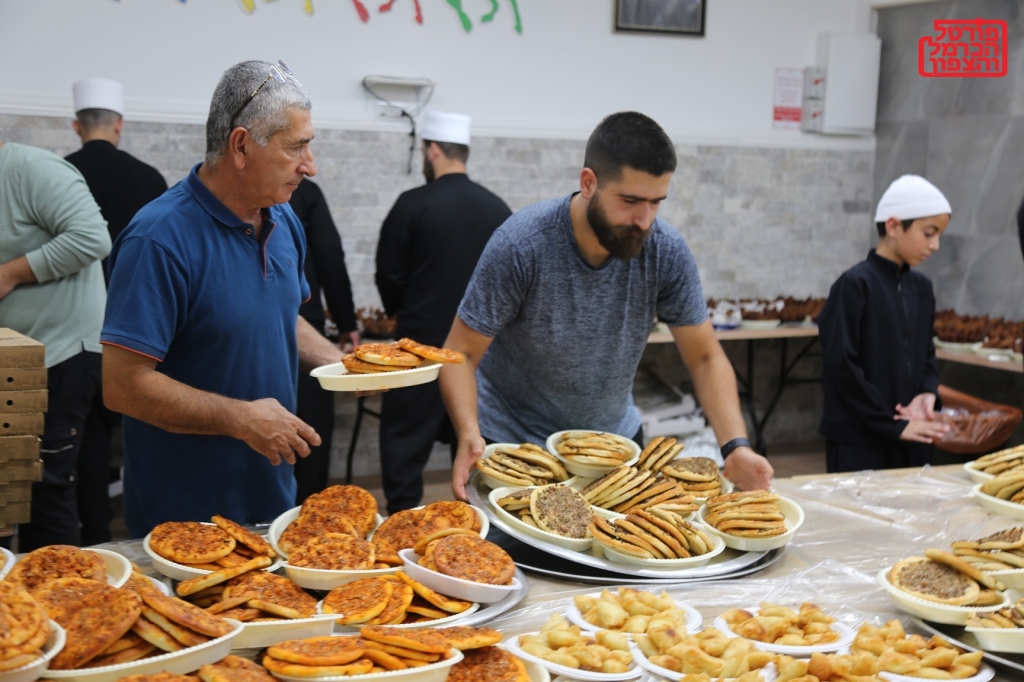 פורטל הכרמל