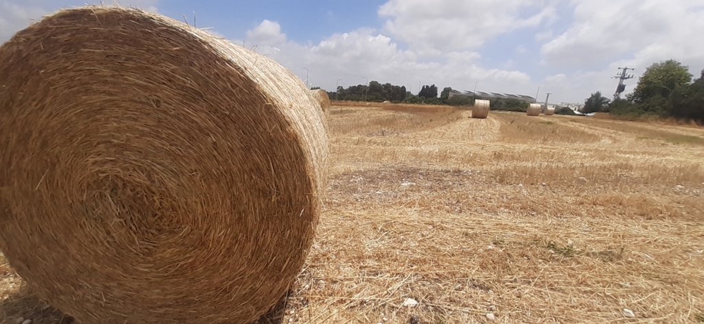  10 מיליון ש"ח לחיזוק החקלאות בישובים ערביים