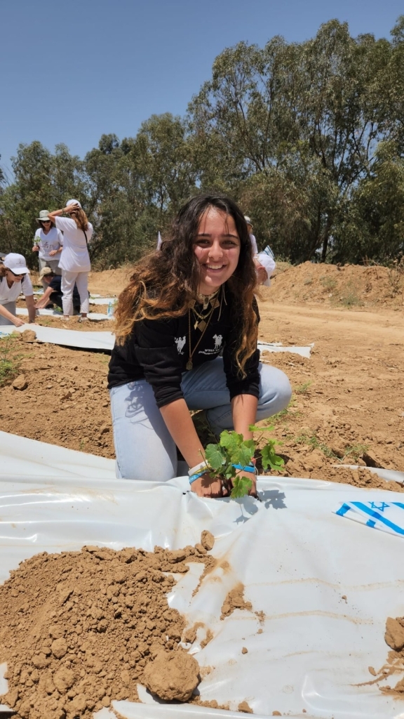 פורטל הכרמל