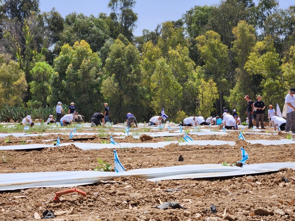  2 מיליון דולר לפעילויות הסיוע החקלאי של השומר החדש