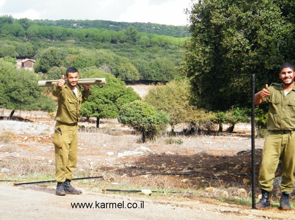 מנקים את האשפה