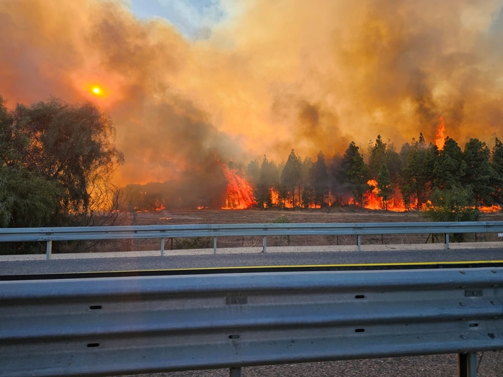 מחיר השריפות שגורמים הכטב"מים והטילים