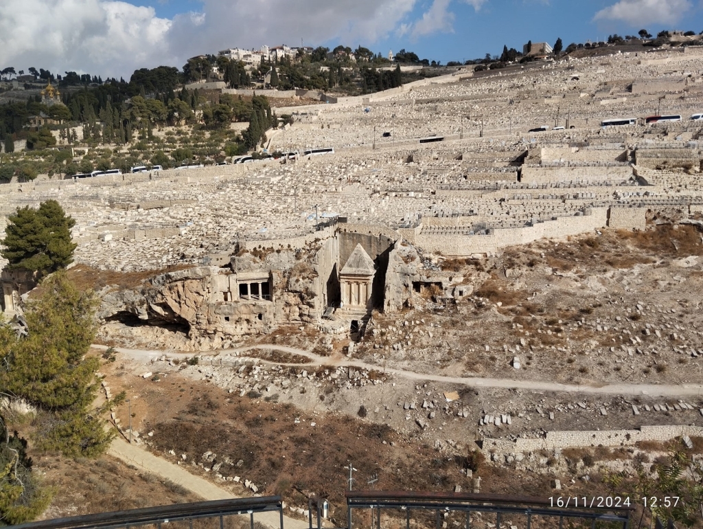 פורטל הכרמל