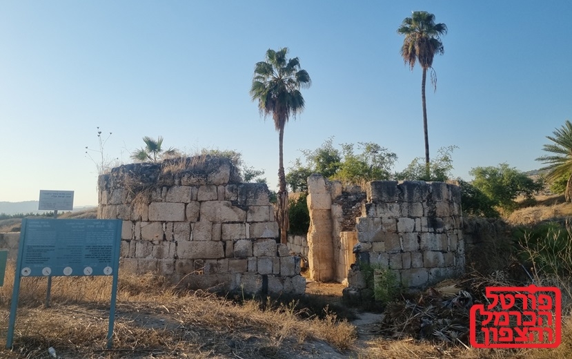 חורבת מינים