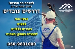 דרושים עובדים לחברת הר הכרמל