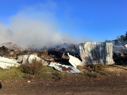 תלונות רבות בחיפה על ריח העשן מהשריפה בעוספיה