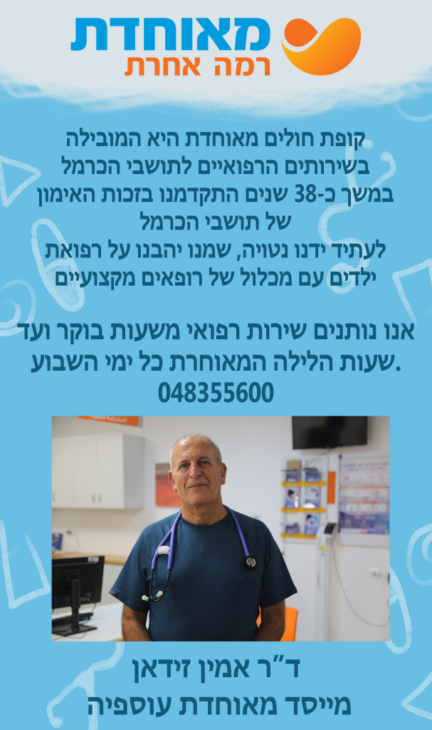 פורטל הכרמל