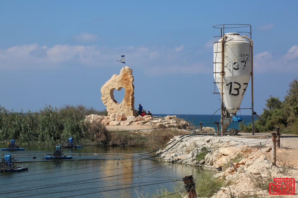 שפעת עופות בלול בקיבוץ מעיין צבי